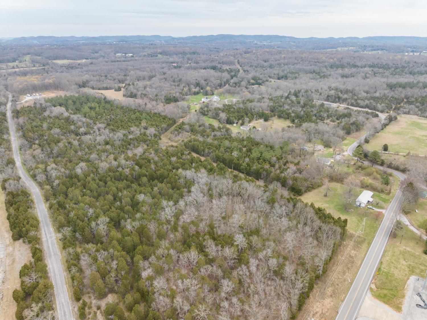 0 Owl Hollow Rd TN 37174 For Sale - 