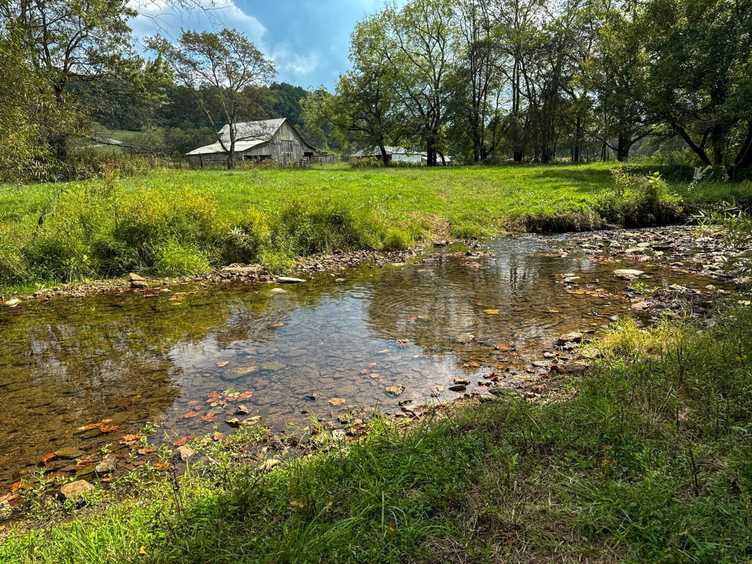 1905-Hams-Creek-Rd For Sale