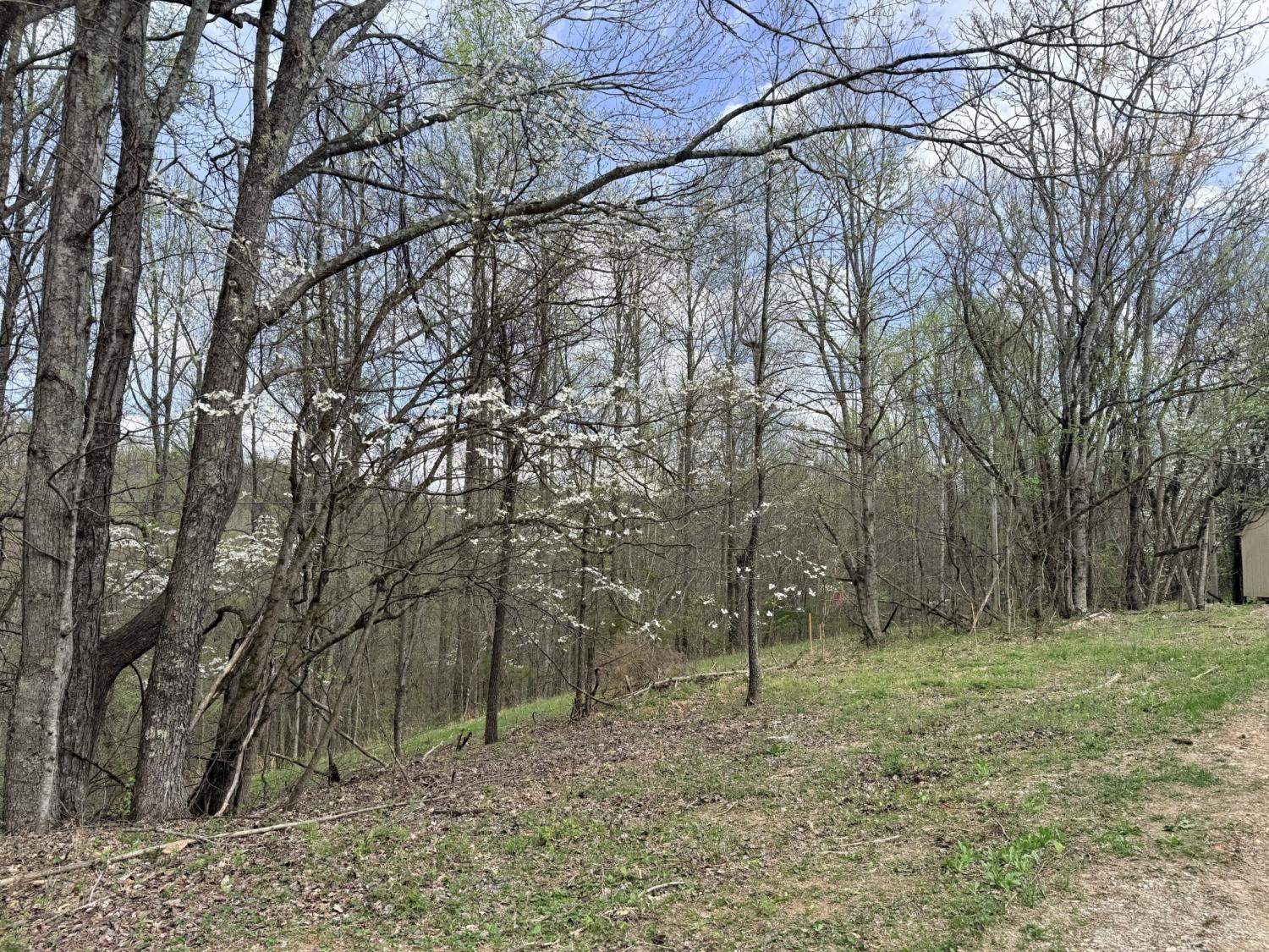 0 Sugar Tree Knob Rd TN 37095 For Sale - 