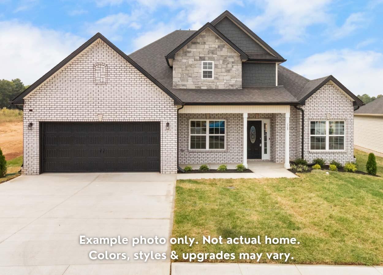 1279-Mourning-Cloak-Dr For Sale