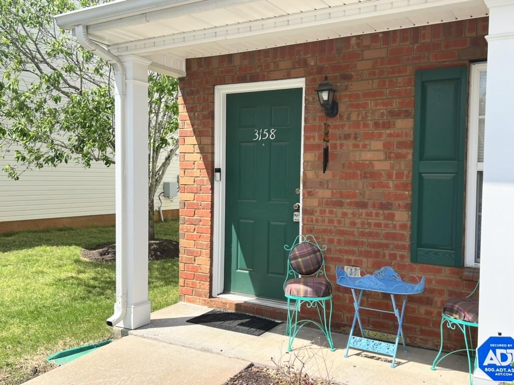 3158-Shaylin-Xing For Sale