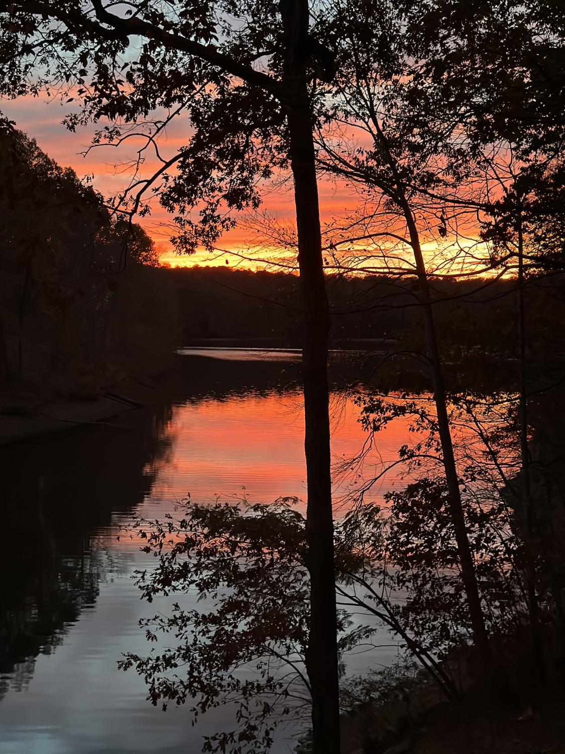 141-Whippoorwill-Cove-Rd For Sale