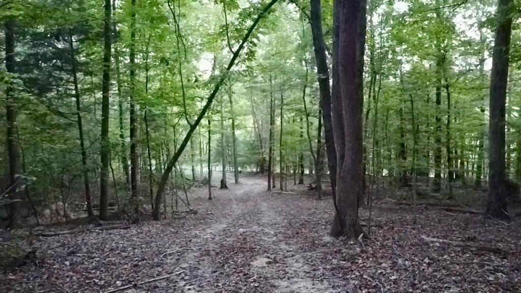 0-Sales-Landing-Rd For Sale