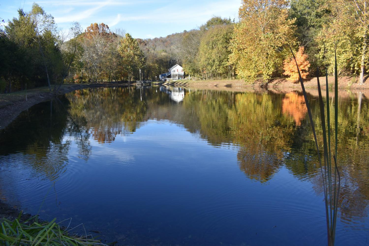 159-Dyer-Branch-Rd For Sale