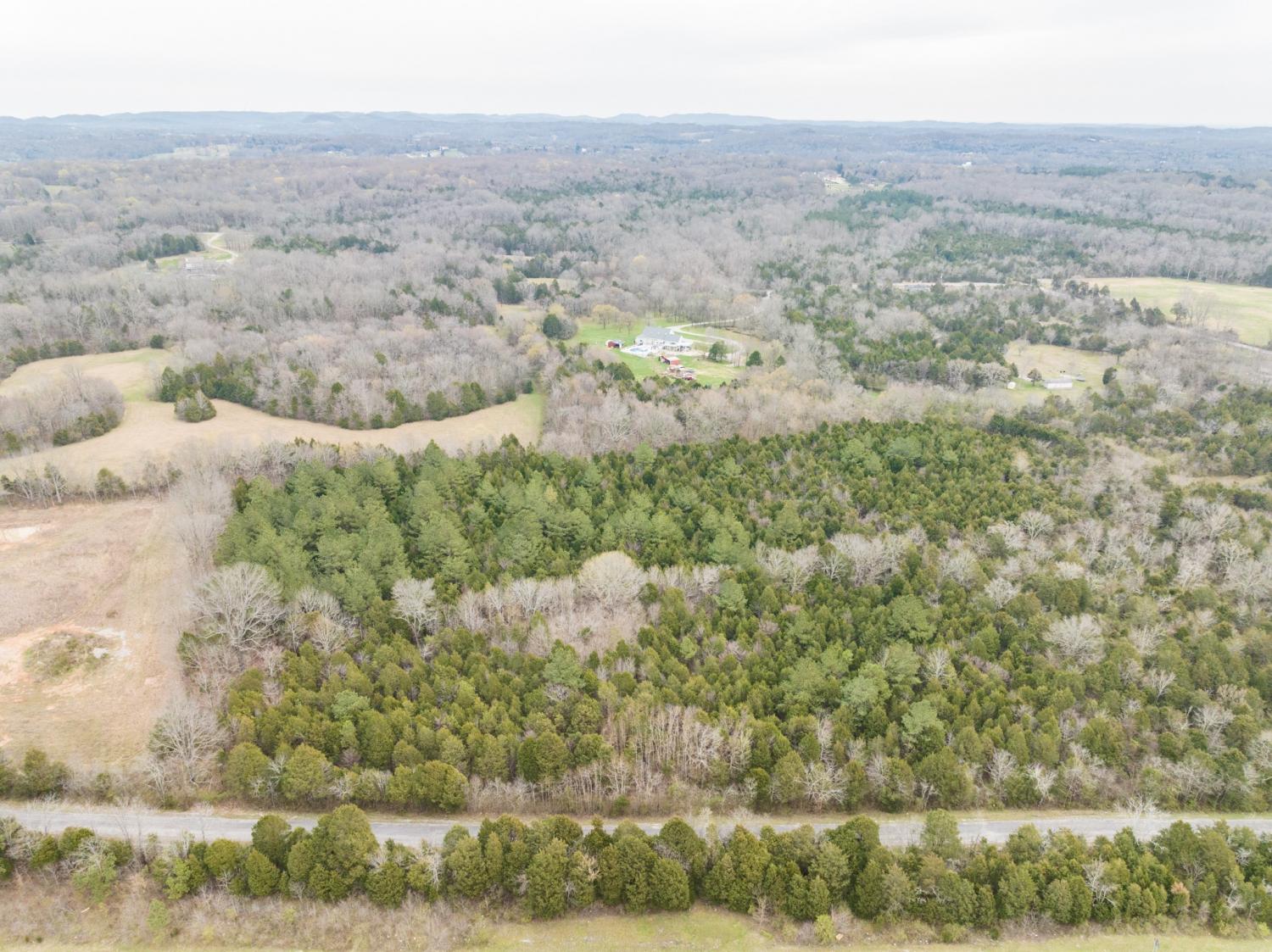 0 Owl Hollow Rd TN 37174 For Sale - 9