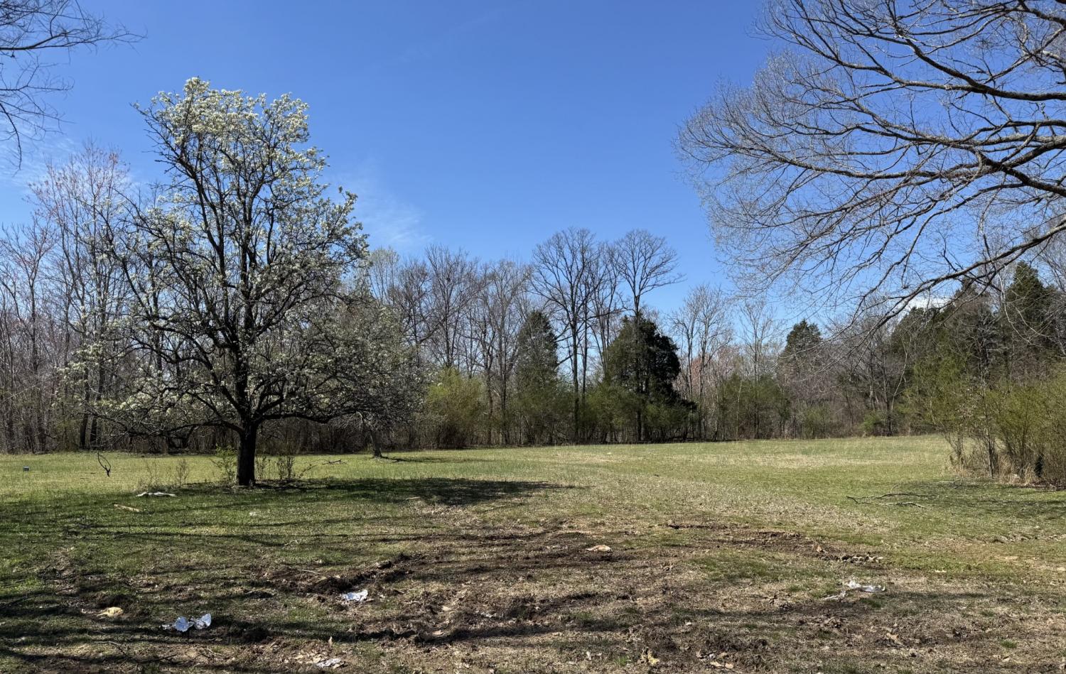 250-Rutherford-Rd For Sale