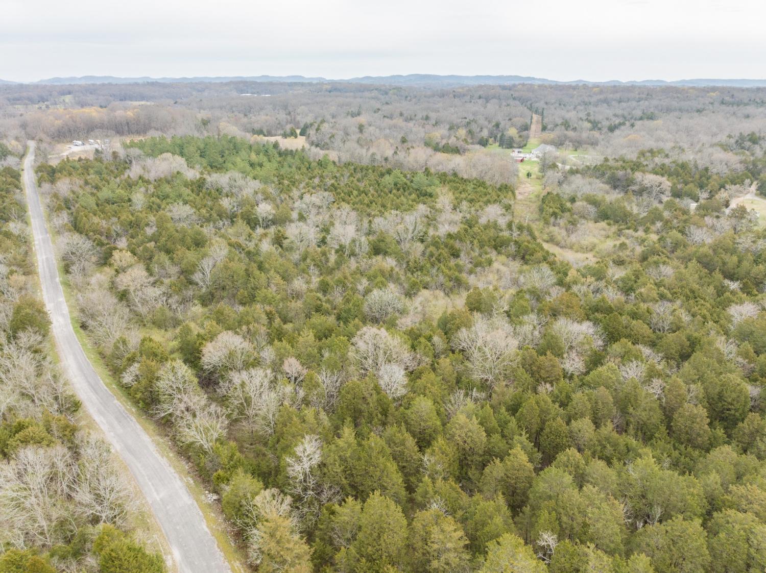 0 Owl Hollow Rd TN 37174 For Sale - 6