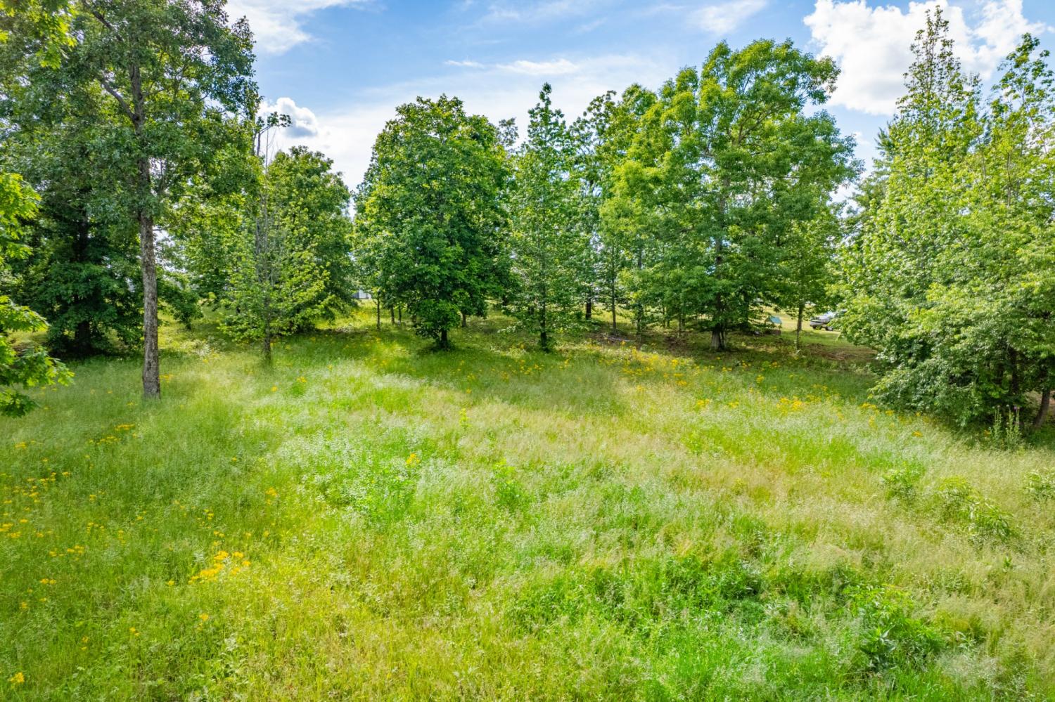 0-Wyshema-Court For Sale