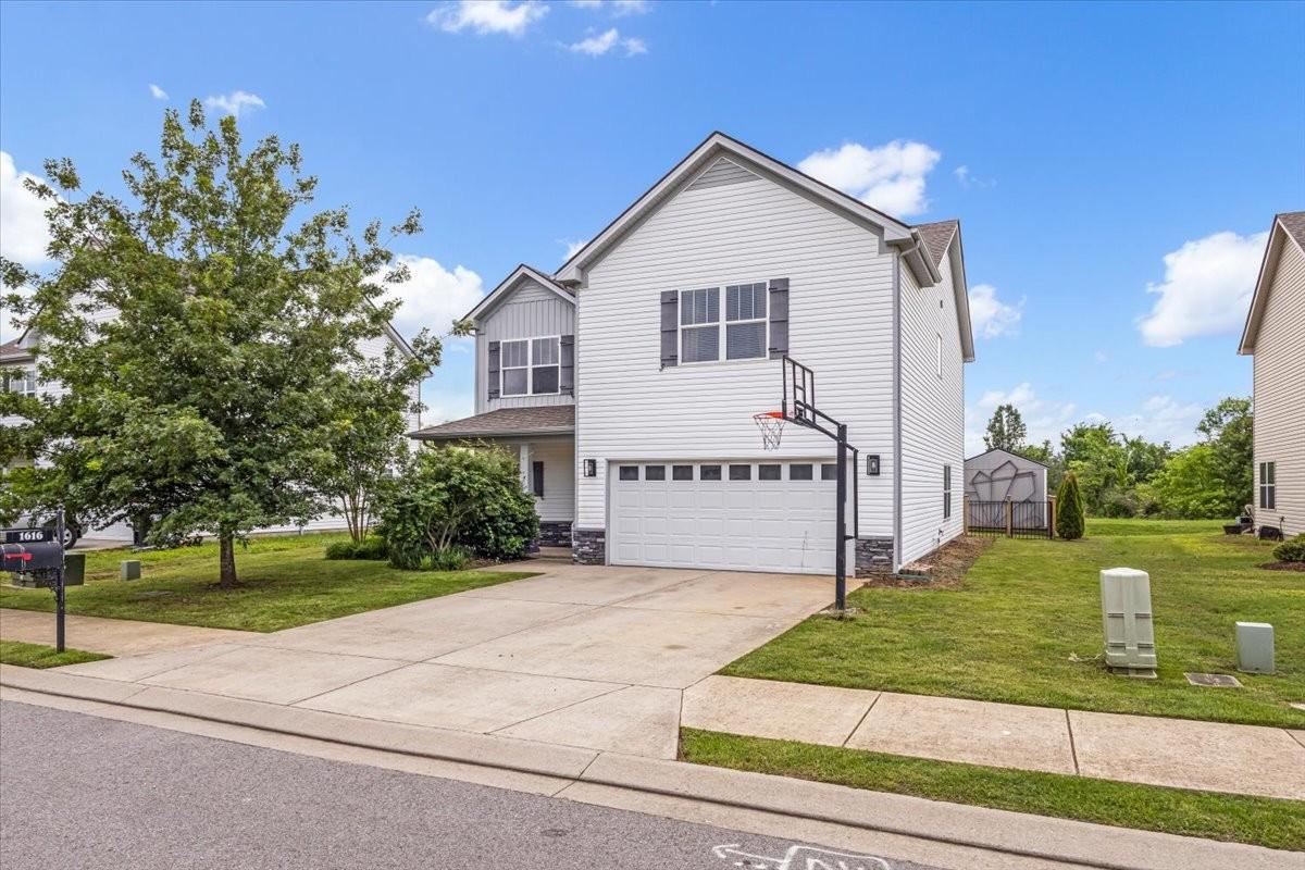 1616-Alysheba-Run For Sale