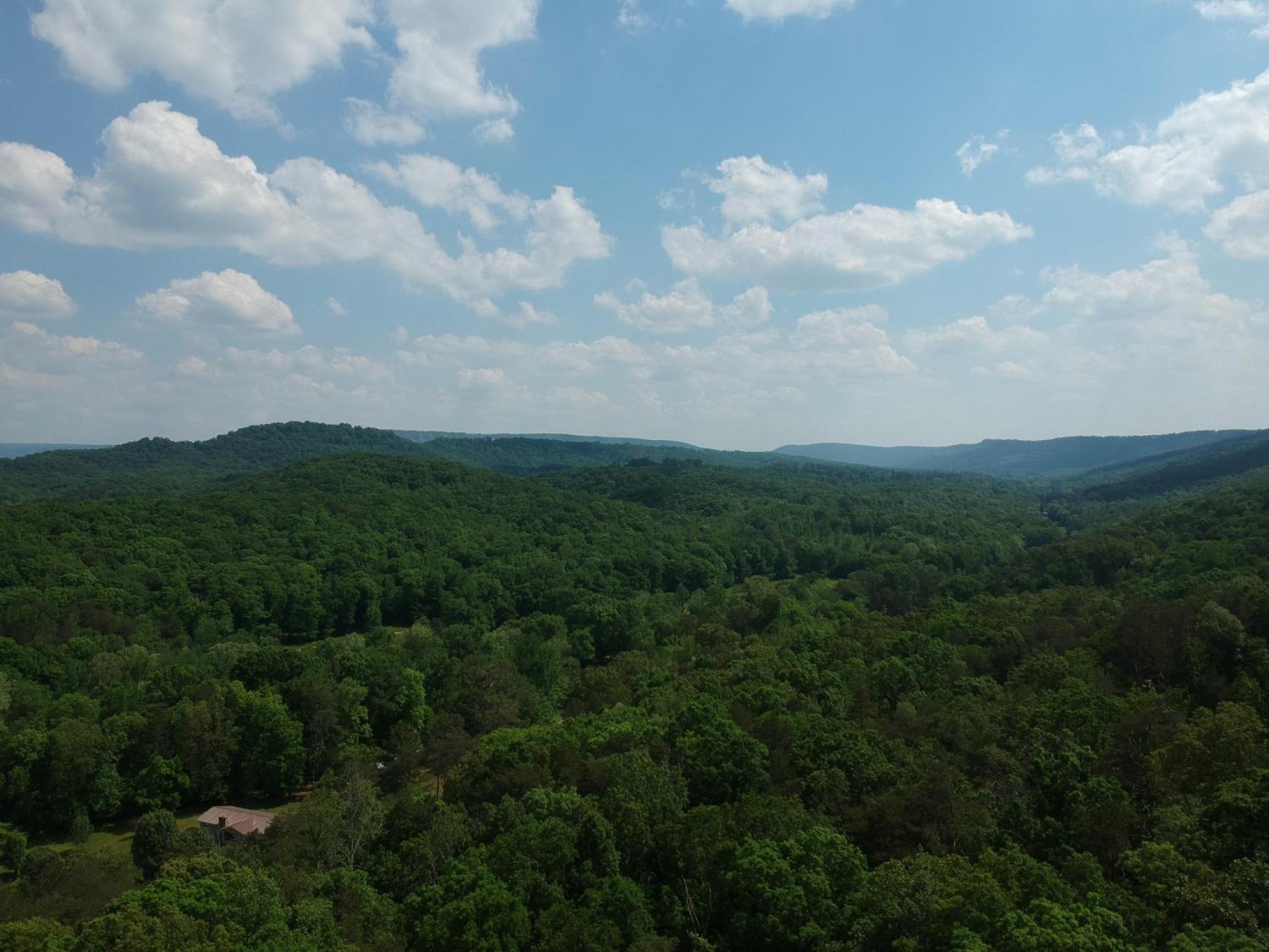 2352-Byrds-Chapel-Road For Sale