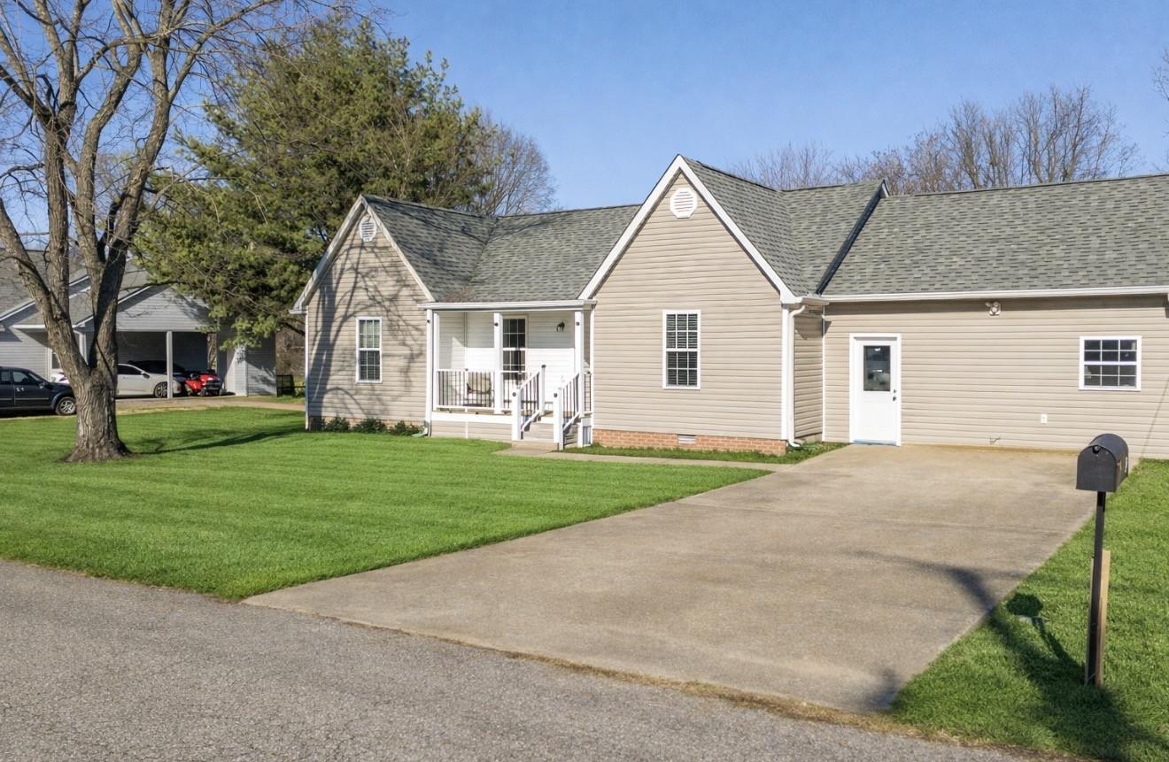 23-Chestnut-Cv For Sale