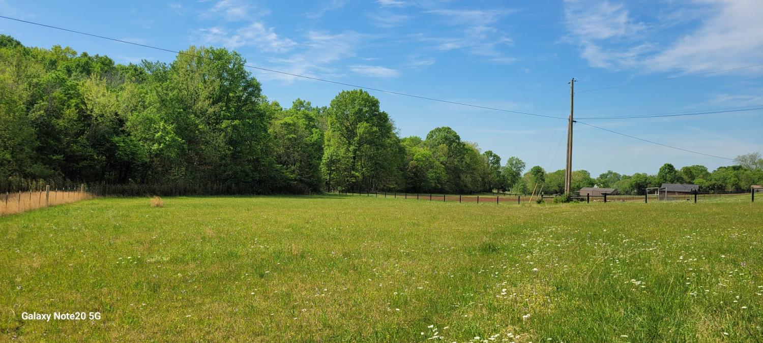 1 Flat Creek Rd TN 37174 For Sale - 