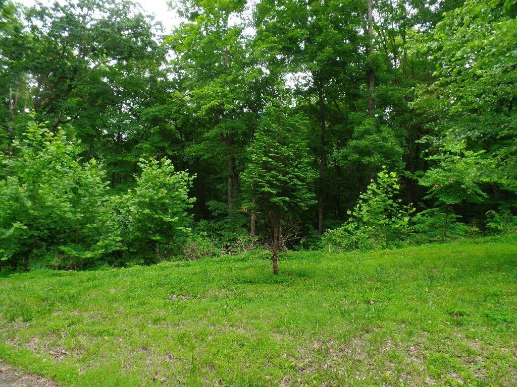 723-McGraw-St For Sale