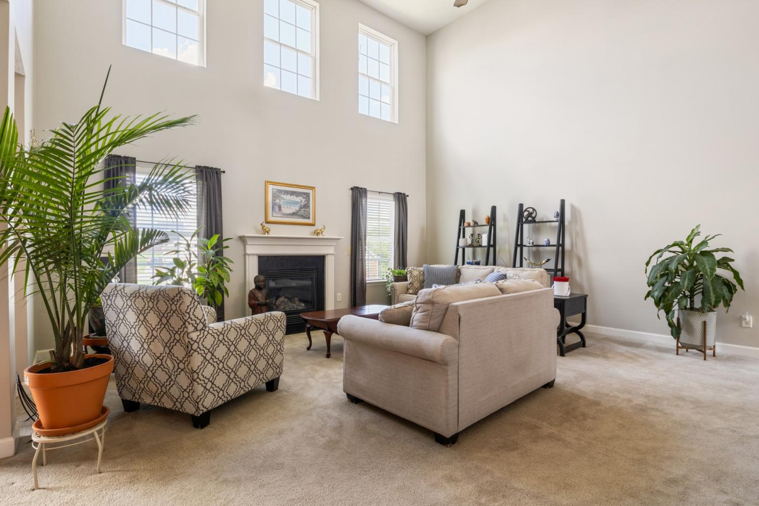 3401-Bent-Wood-Cv For Sale