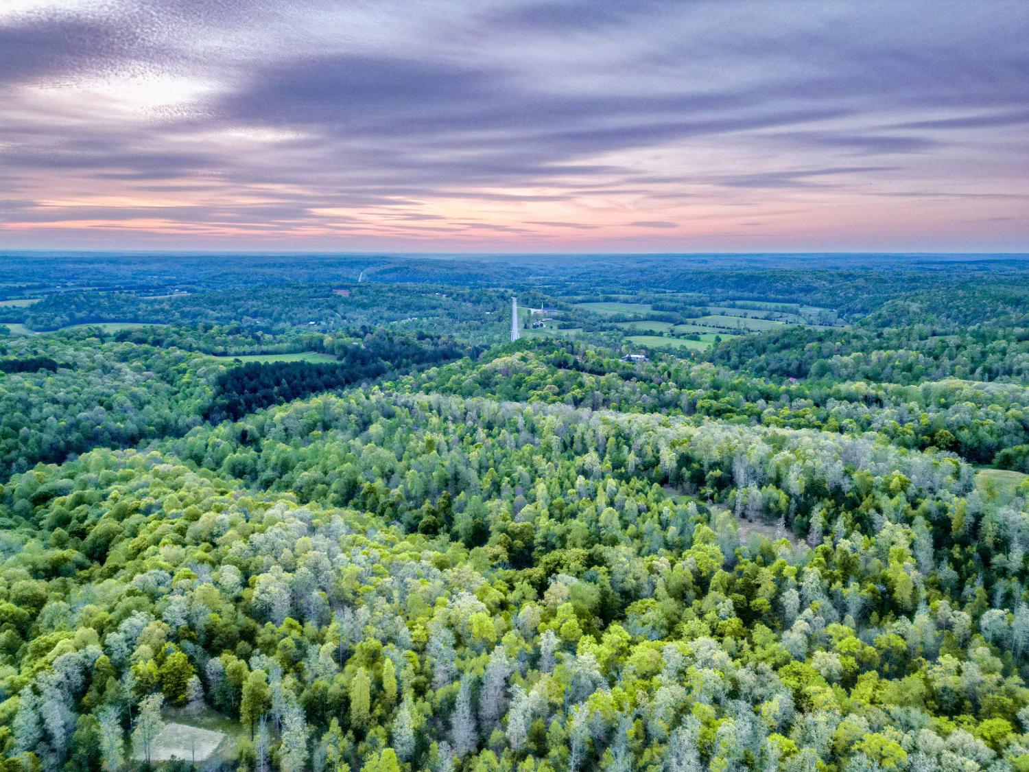 920-Mason-Bates-Bend-Rd For Sale