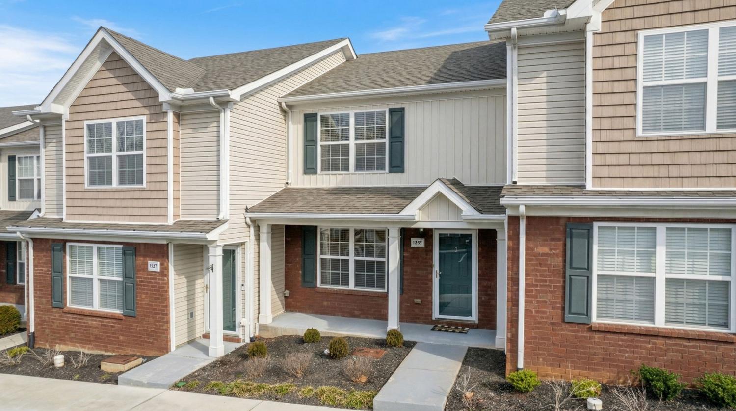 1859-Shaylin-Loop For Sale