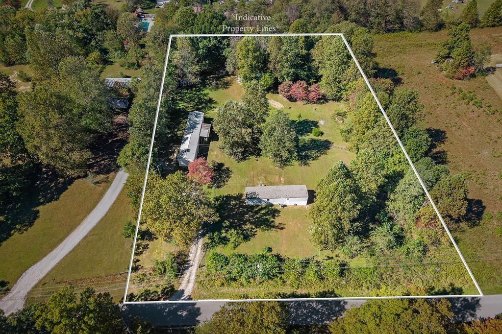 269-Moonlight-Trl For Sale