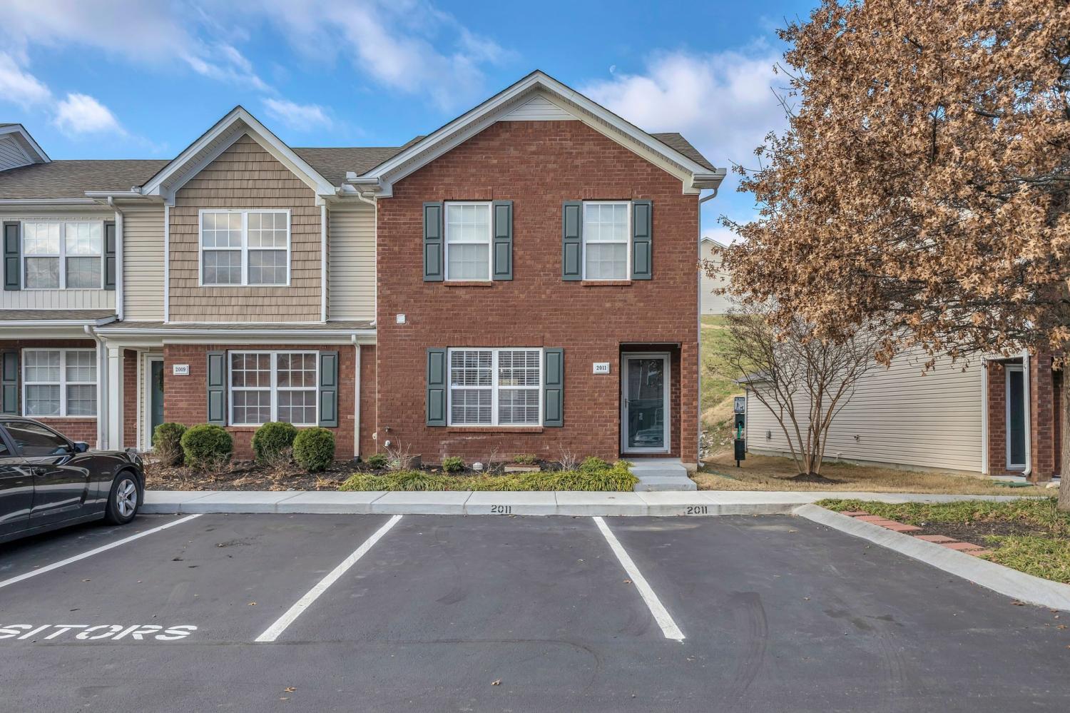 2011-Shaylin-Loop For Sale