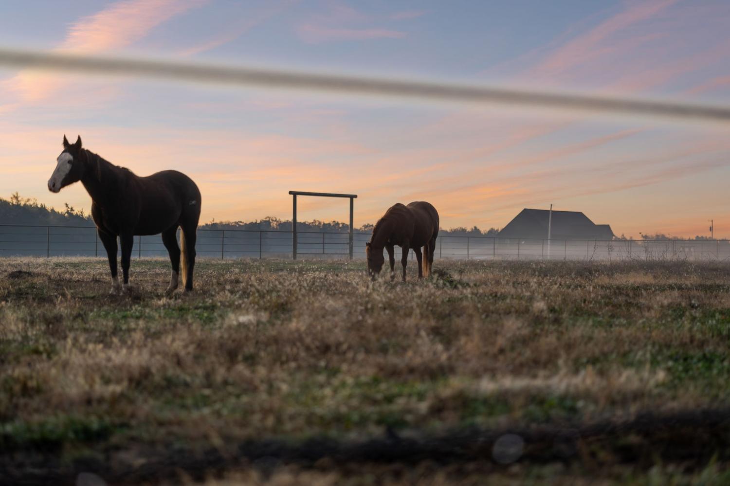 201-Lamb-Rd For Sale