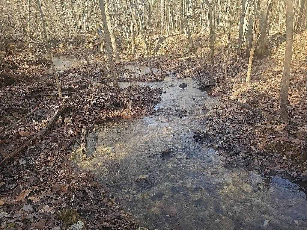 1661-Sassafras--Stand-Ridge-Rd For Sale