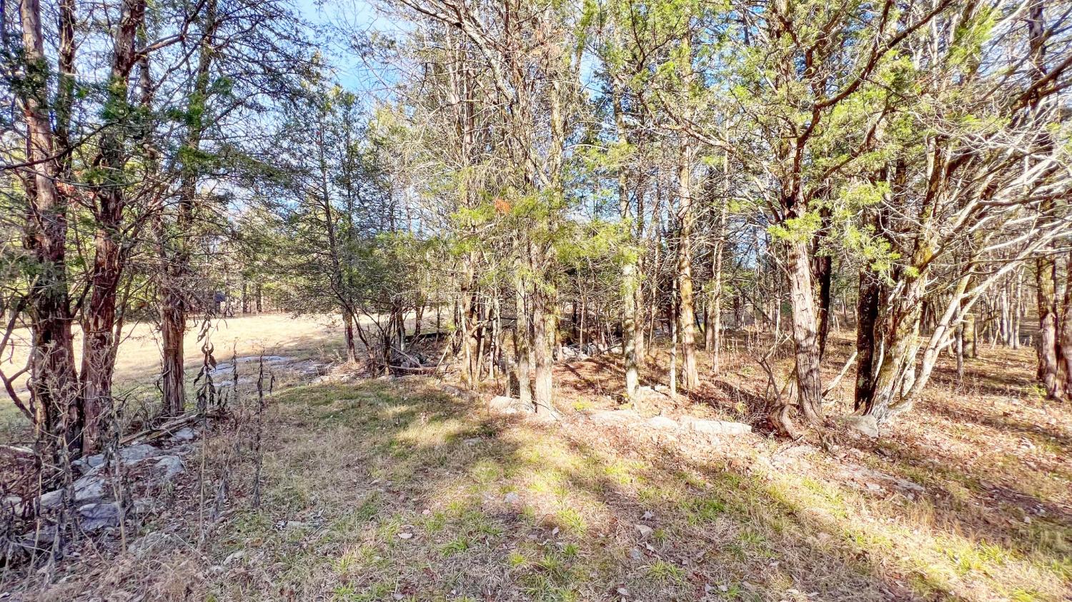 1885 Luther Sharp Rd TN 38401 For Sale - 13