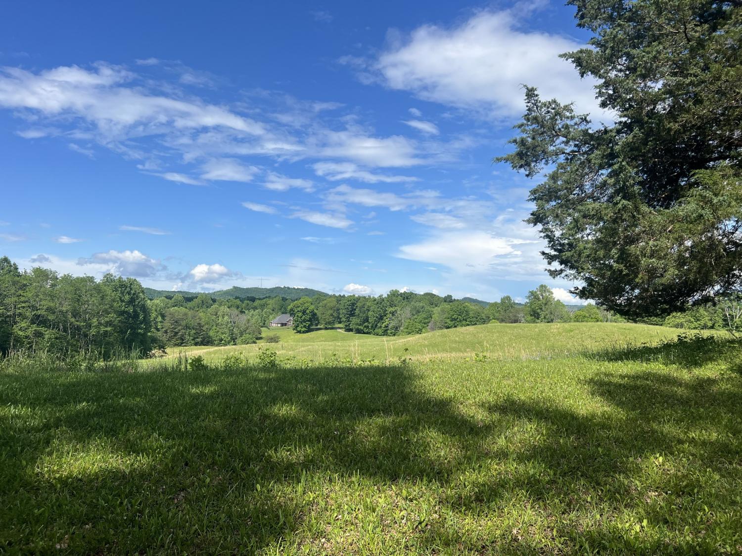 219-Dale-Lane For Sale