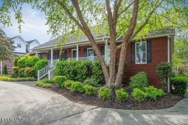 1325-Bridle For Sale