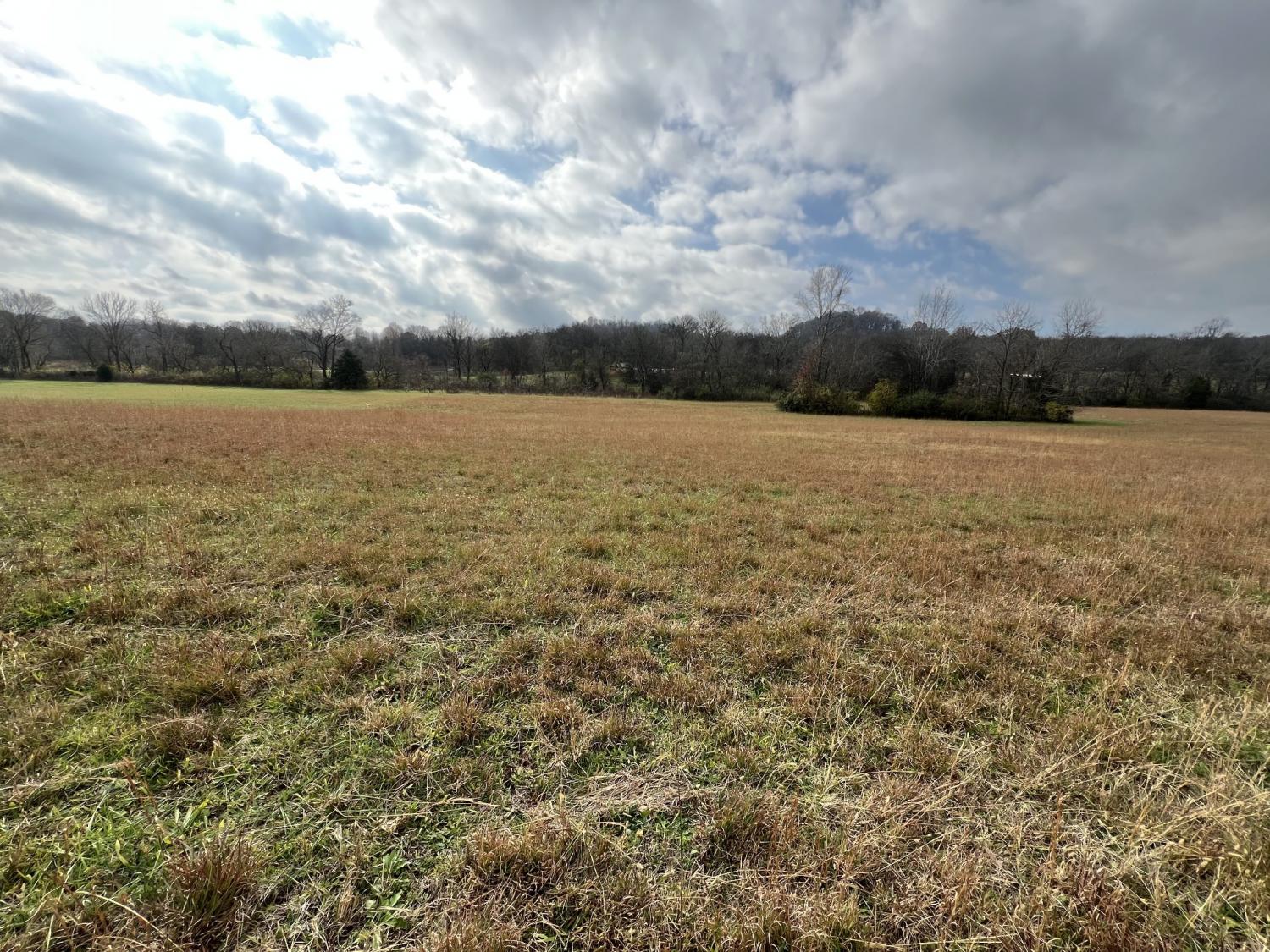 0-Carters-Creek-Pike For Sale