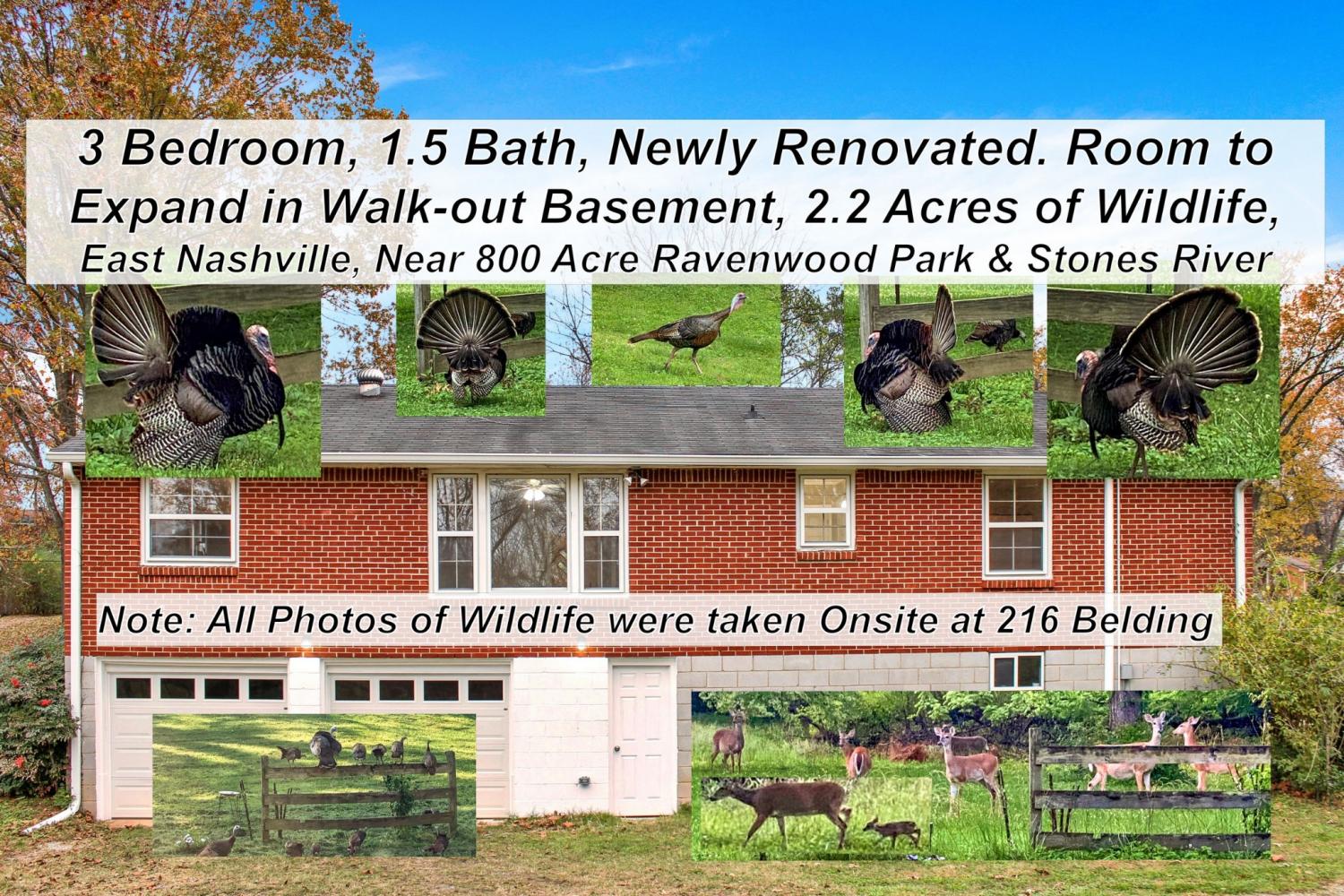 216-Belding-Dr For Sale