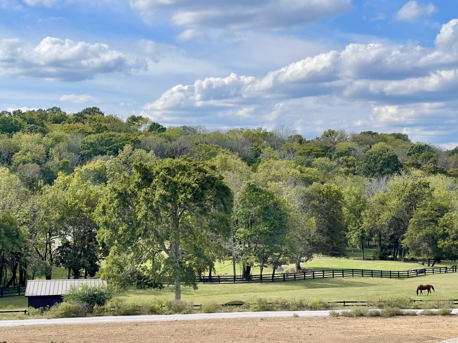 Sunset Middle School Property for Sale