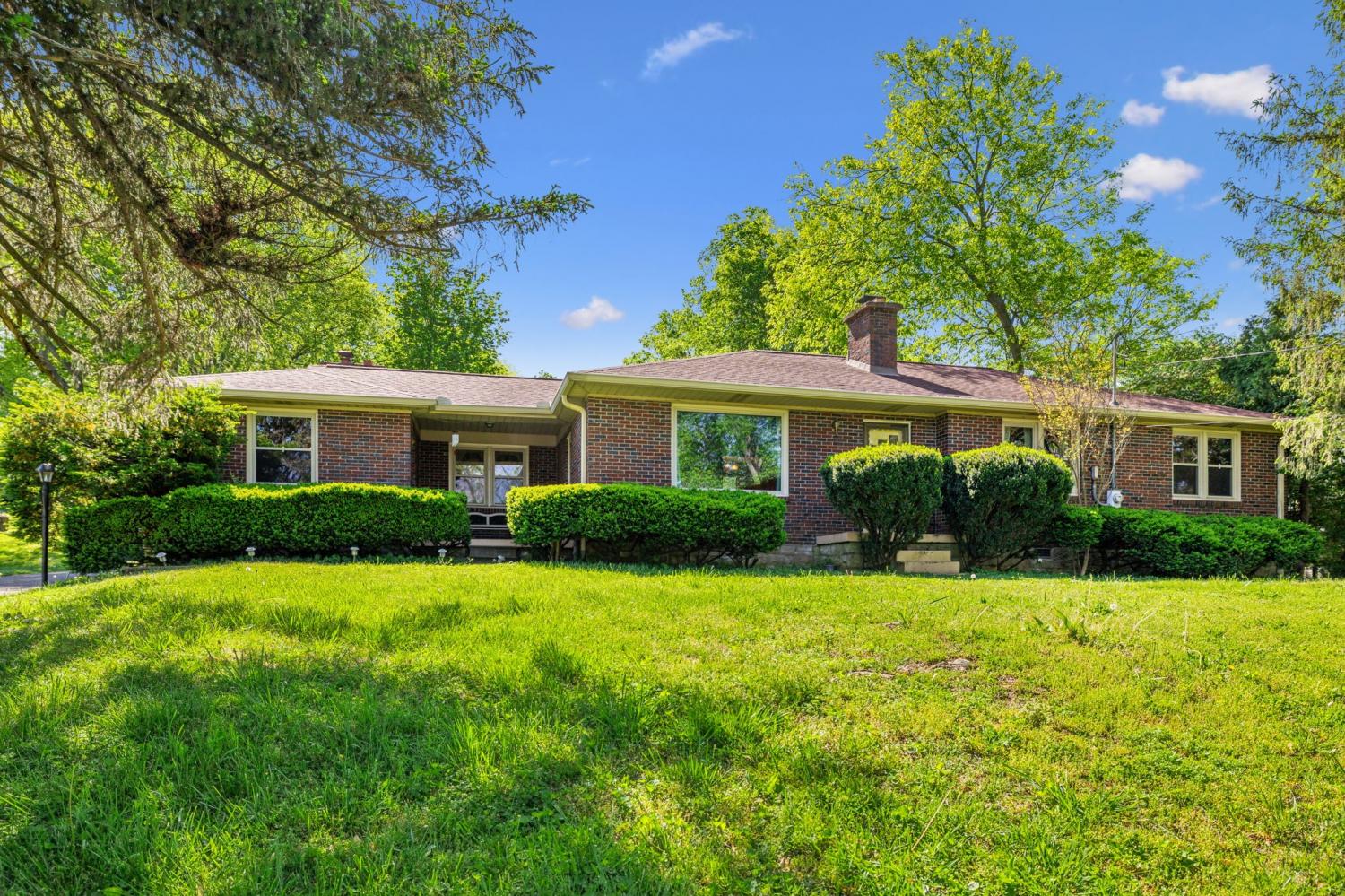 207-Moss-Trl For Sale