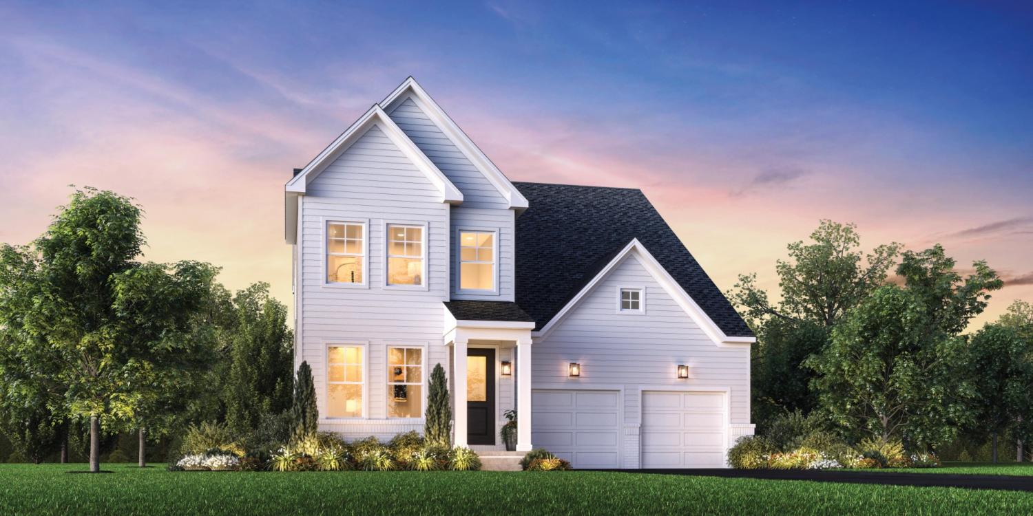 3-Silva-Loop For Sale