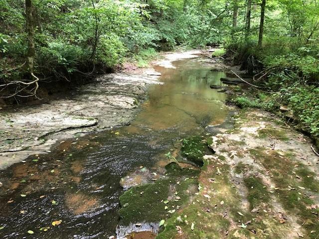 2270-Shuler-Branch-Rd For Sale