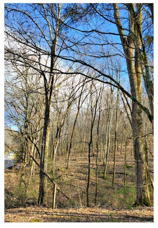 8171-McCrory-Ln For Sale