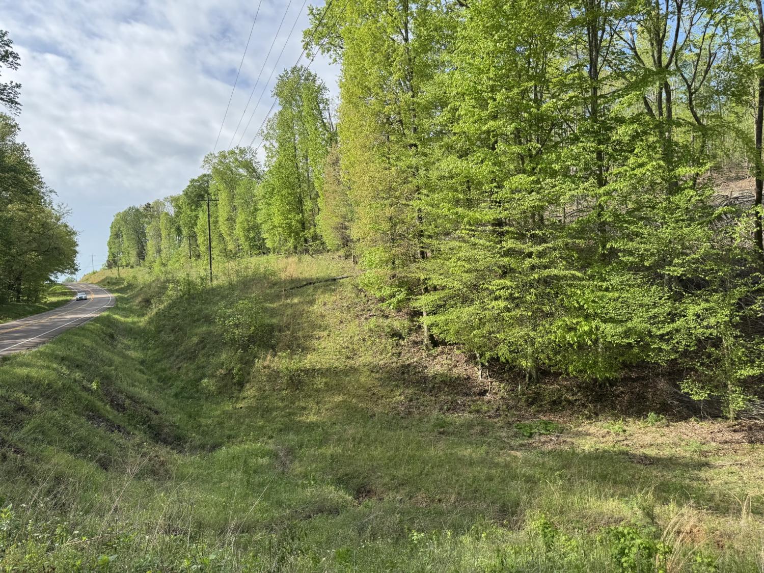 0-Waynesboro-Hwy For Sale