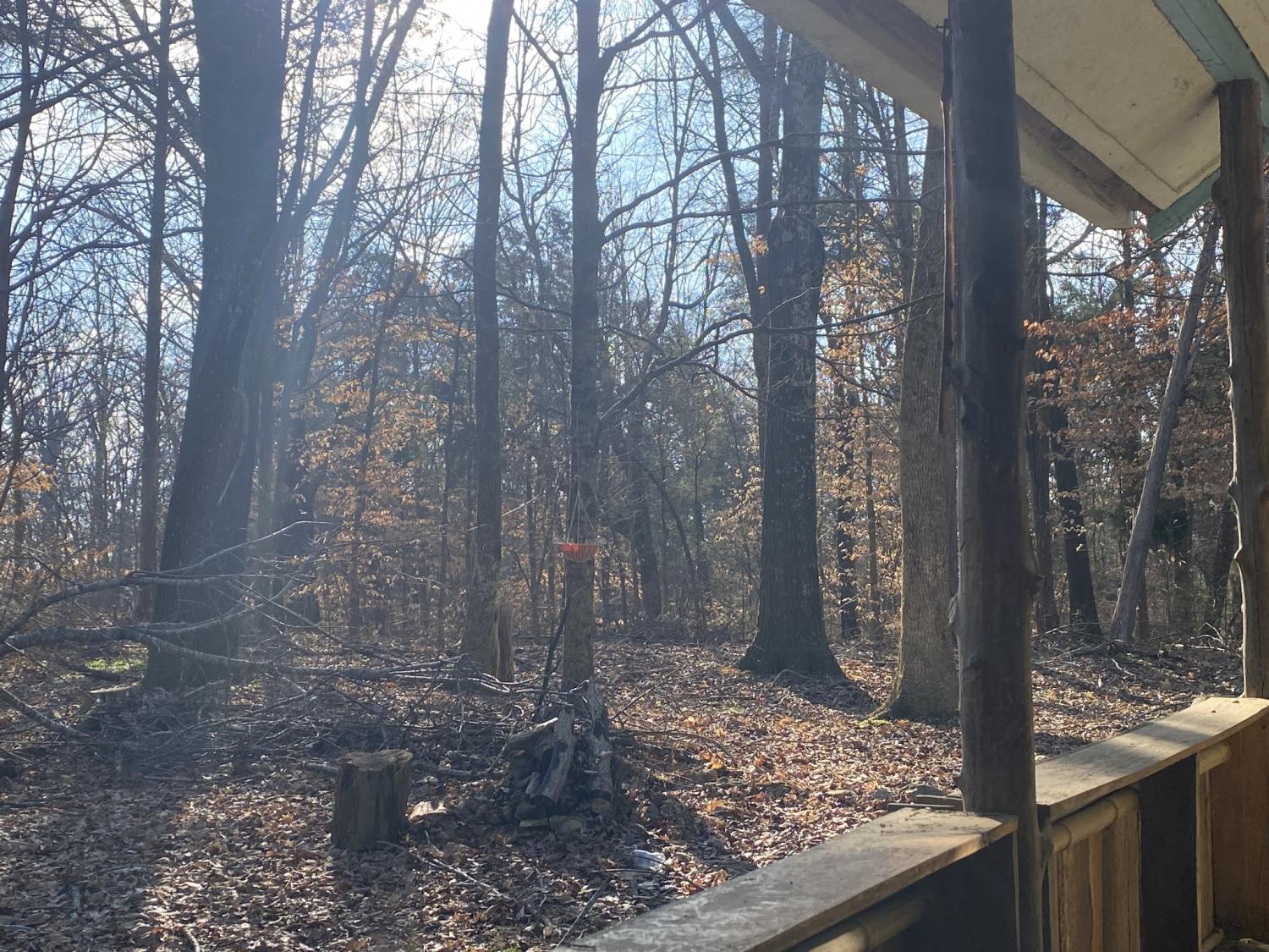 7992-Primm-Springs-Rd For Sale