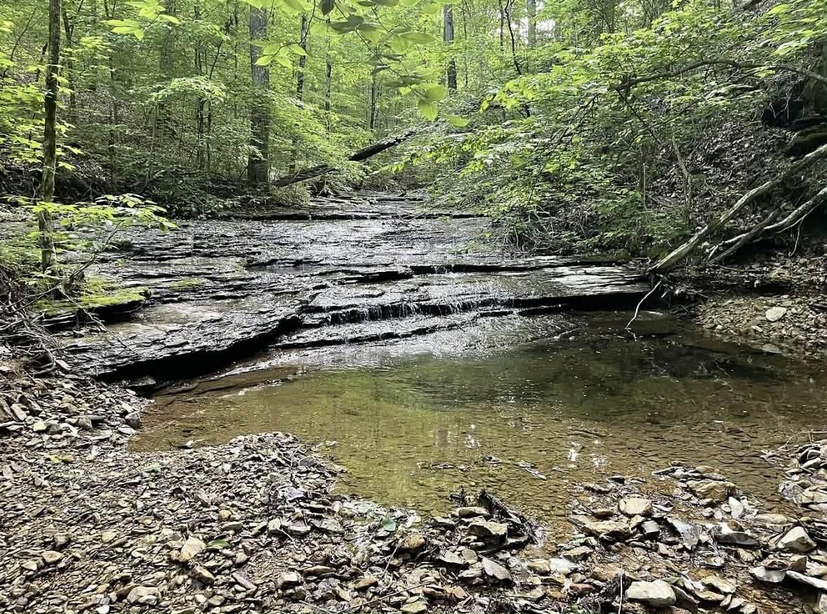 1013-Valencia-Ct For Sale