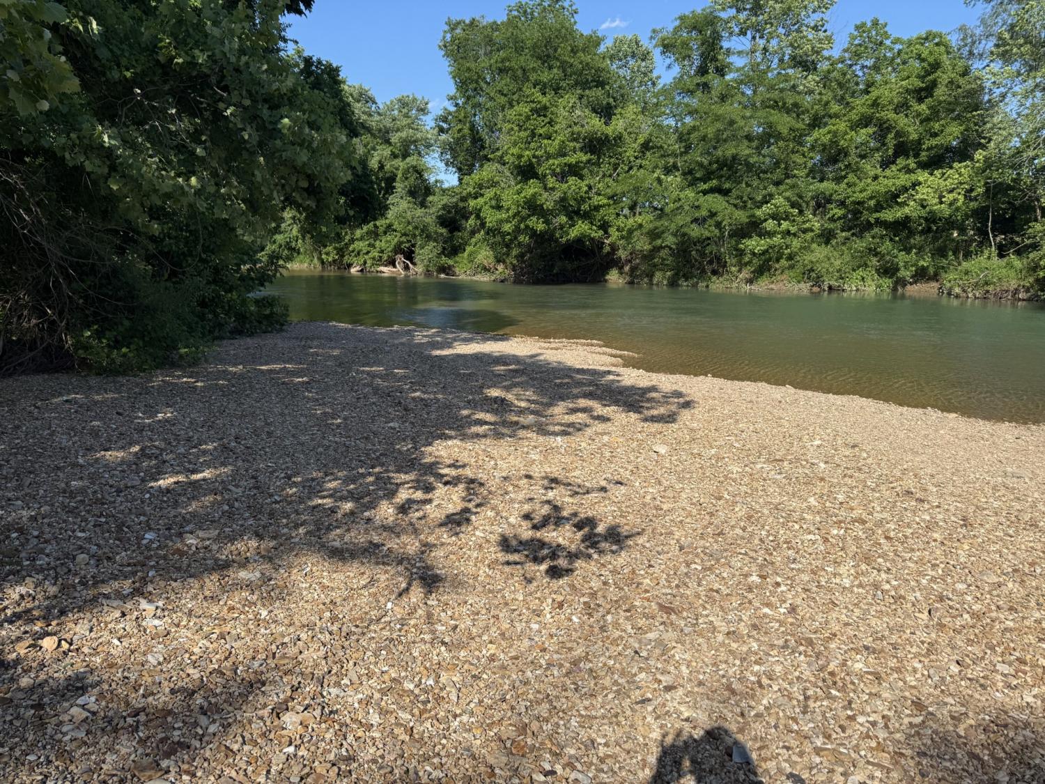 3740-Dancer-Branch-Rd For Sale