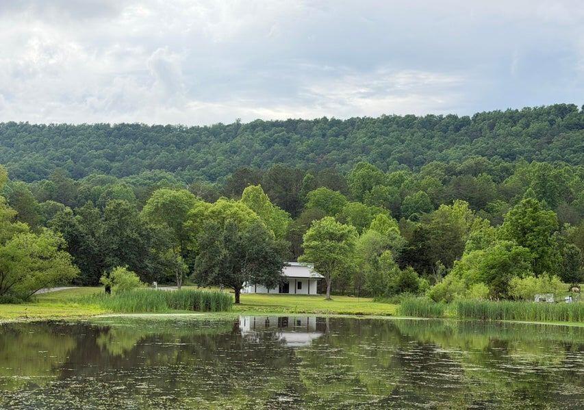 1483-Reagan-Valley-Road For Sale