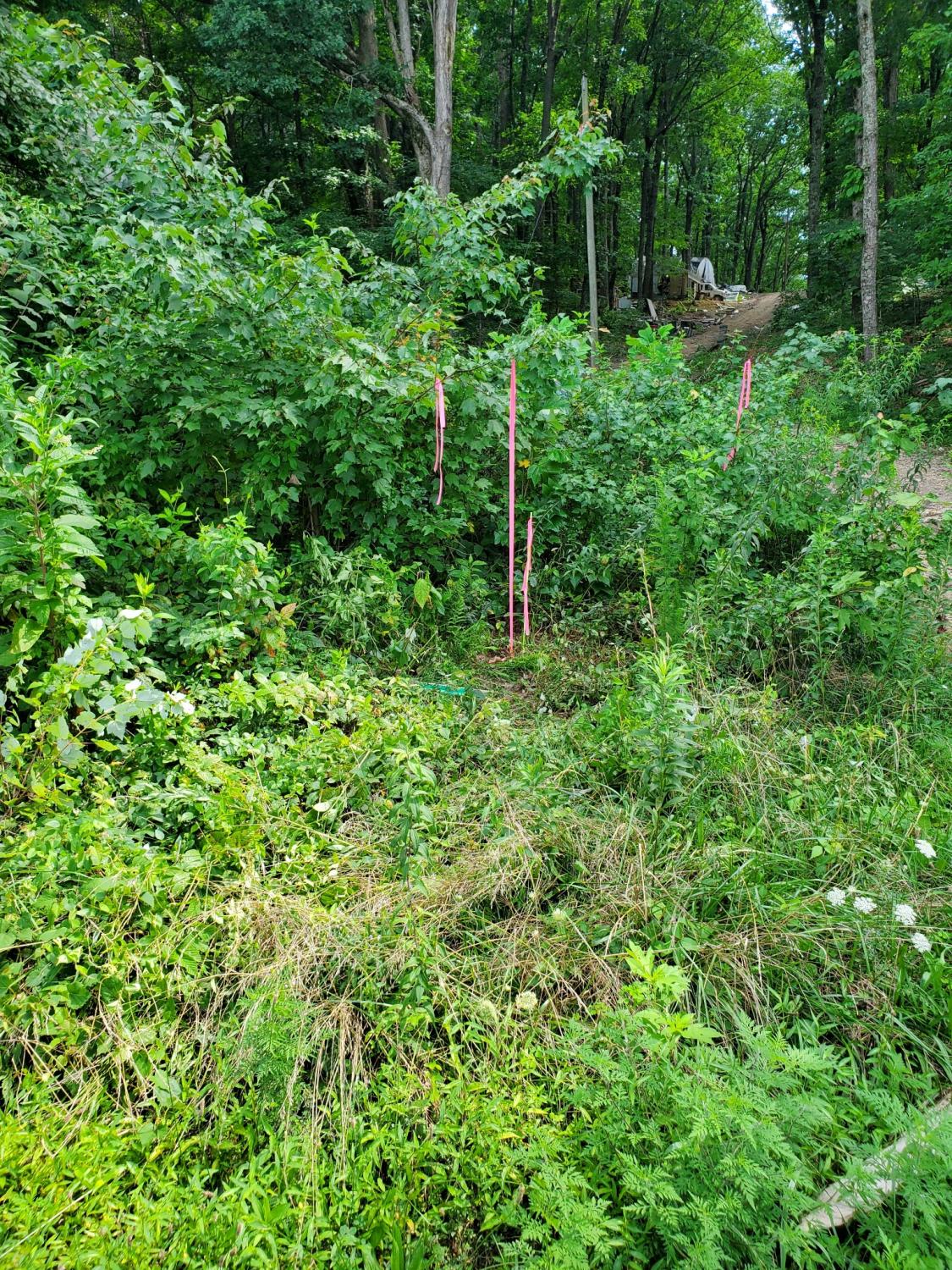 235-County-Road For Sale