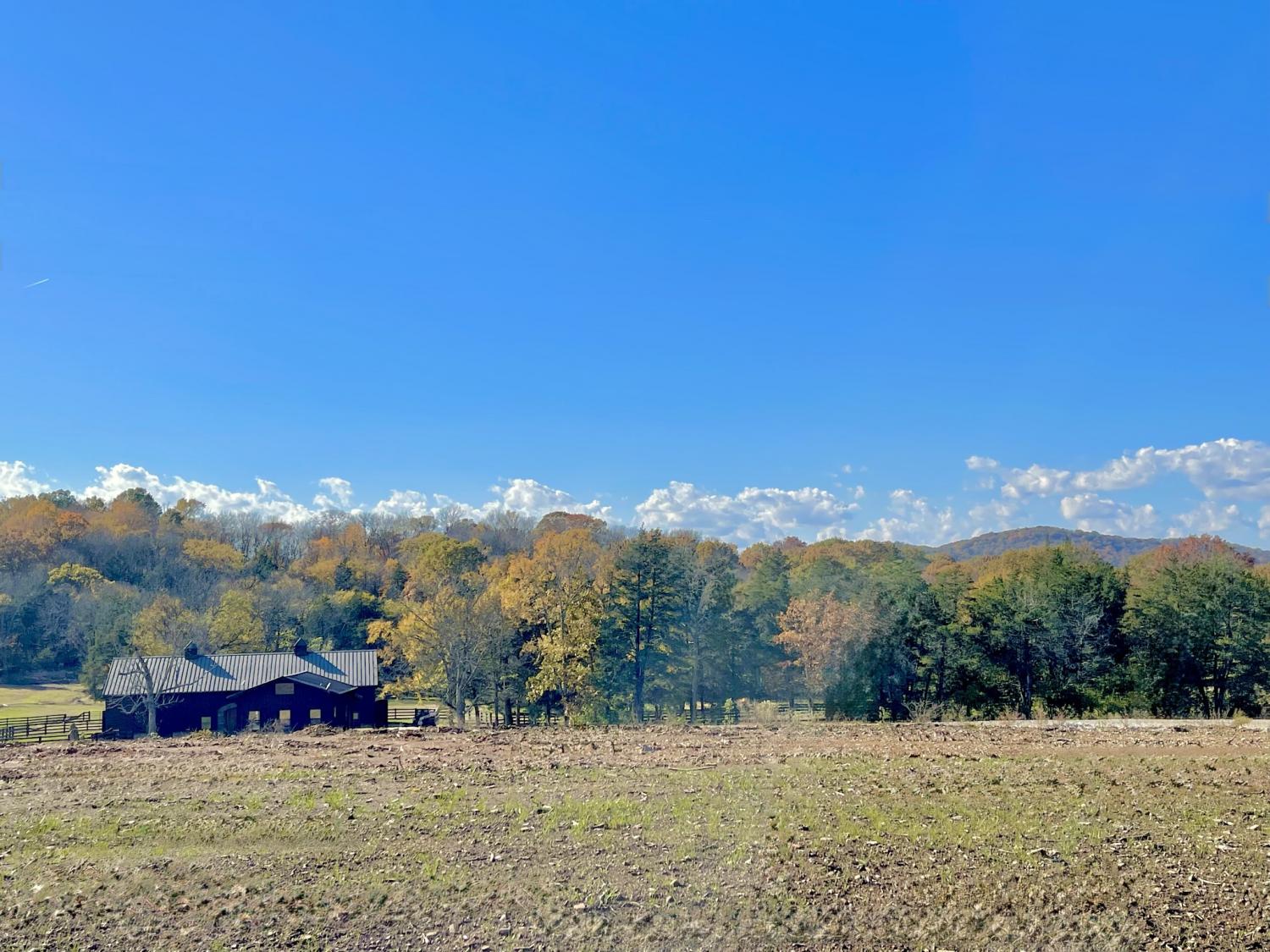 1805-Mariner-Lane For Sale