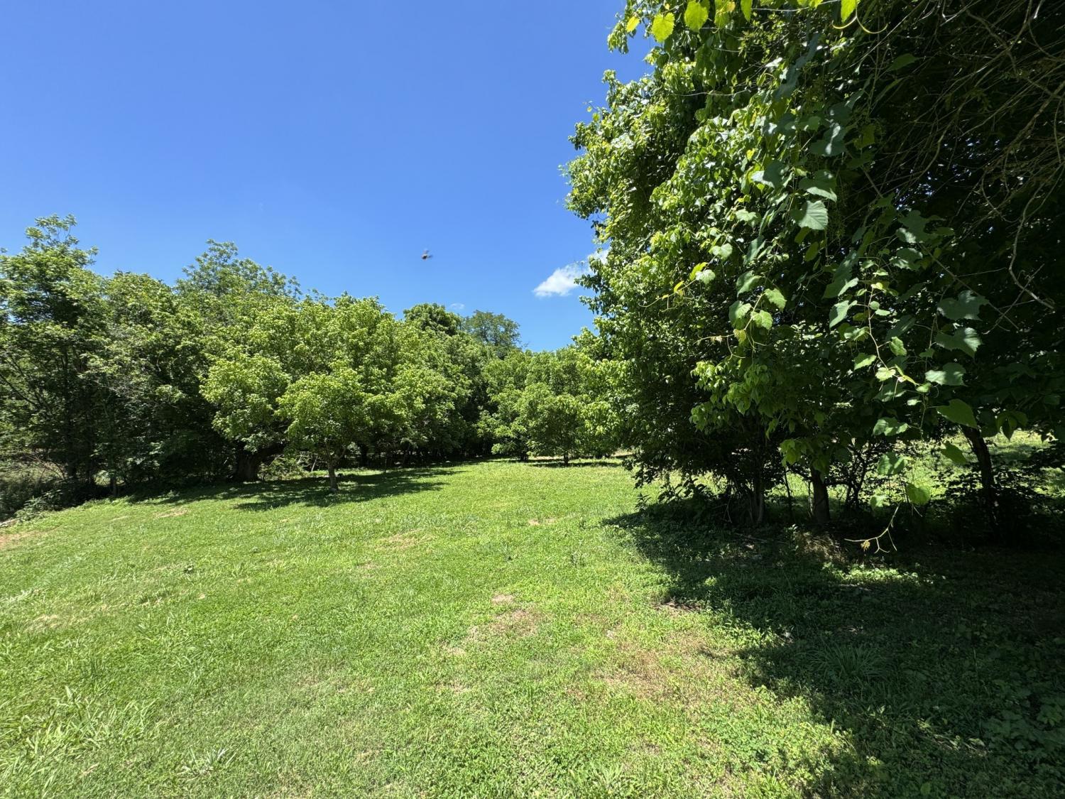 2342-Valley-Creek-Rd For Sale