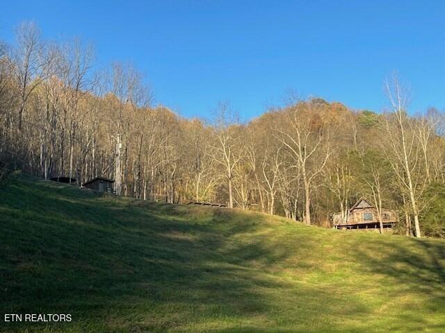 360-Spurlock-Hollow-Lane For Sale