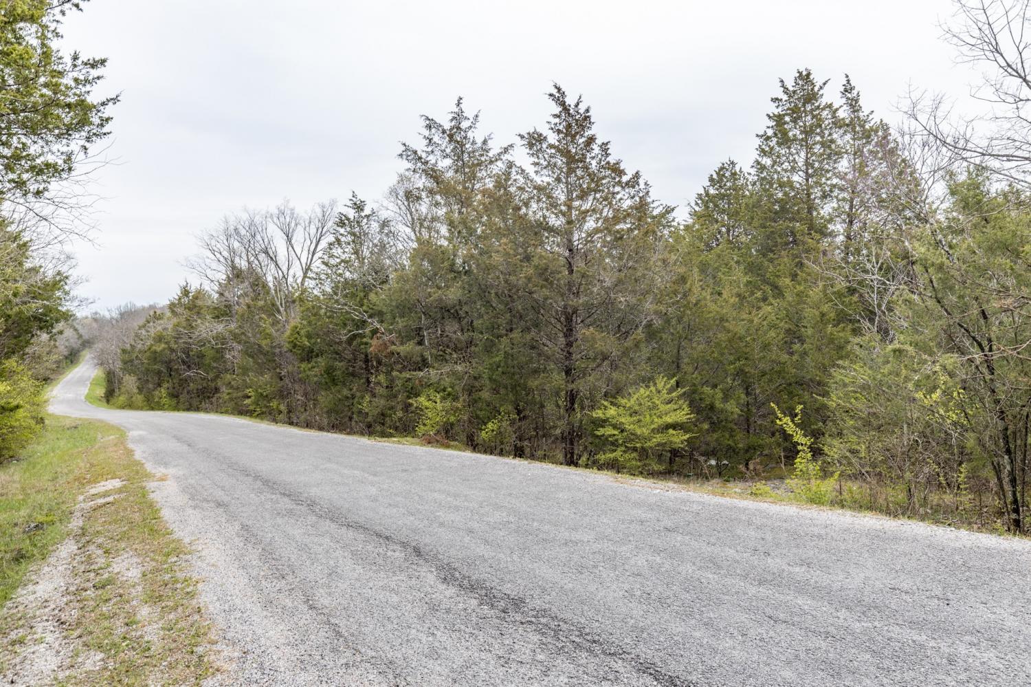 0 Owl Hollow Rd TN 37174 For Sale - 29