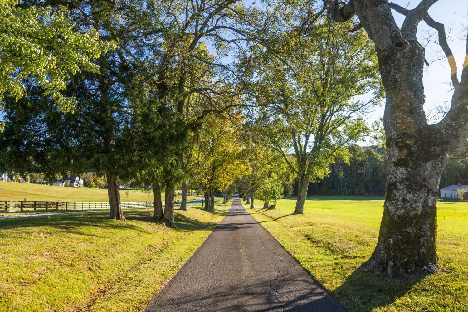 2133-Allisona-Rd For Sale