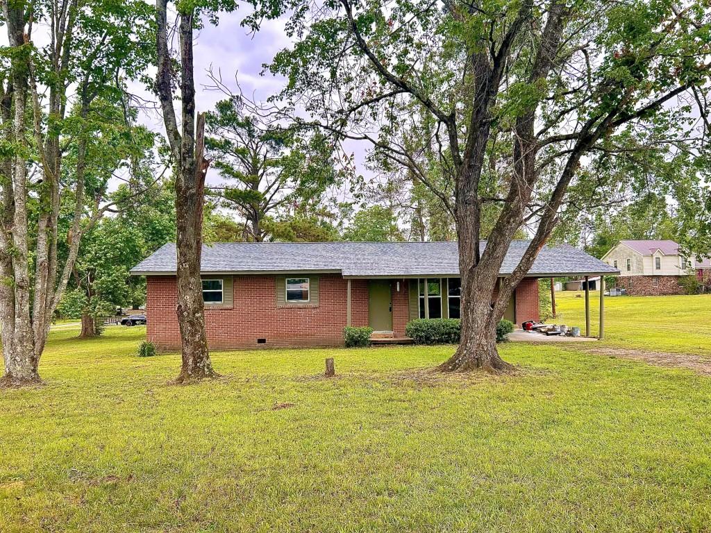 920-Damron-Loop For Sale