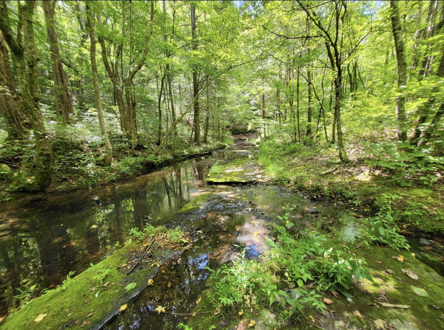 6704-Rockhouse-Rd For Sale