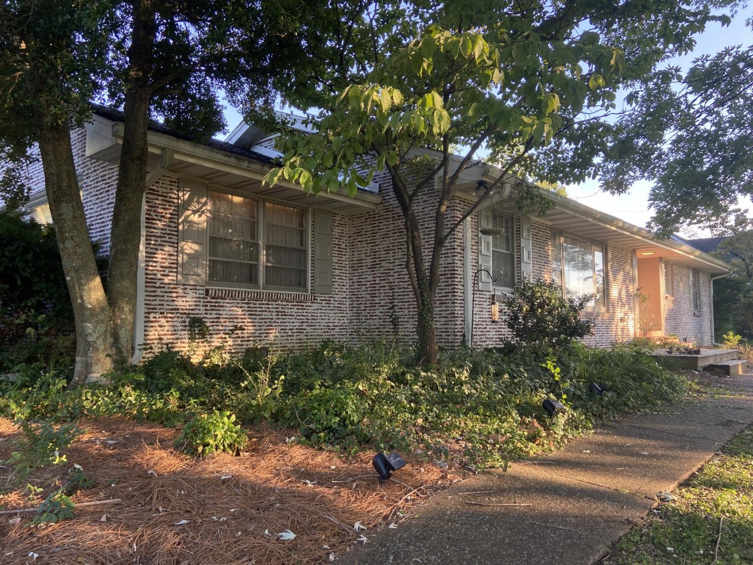 215-Moss-Trl For Sale