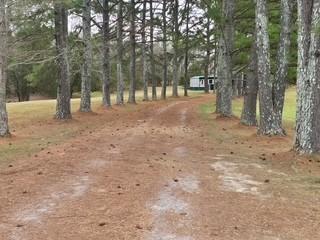 1148-Bear-Creek--S For Sale