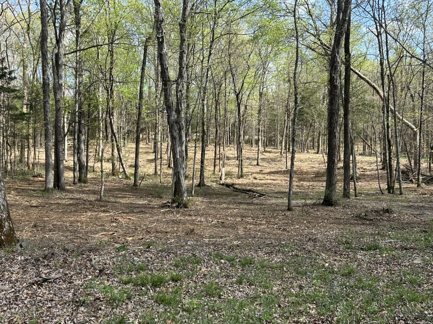 0-Millersburg-Rd For Sale